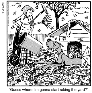 marmaduke